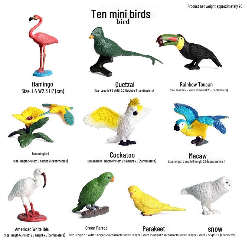 Mini Animal Growth Cycle Toys: Butterfly, Rooster, Ant, Frog, Sea Turtle, Dragonfly