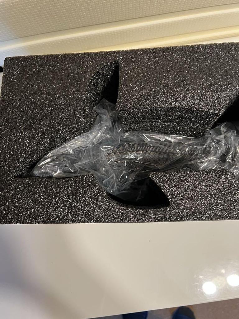 [USED] Honshin Kusunoki Kai Mosasaurus