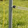 Poartă cu Arc pentru Gard Electric de Fermă: Accesorii Electrice Fiabile și Ușor de Controlat pentru Garduri pentru Animale de Fermă