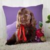 Spaniel Animal Pillowcase  Modern Home Living Room Decoration
