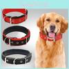 Stylish Pet Collar With Soft Foam Padding Available In Various Colors And Sizes