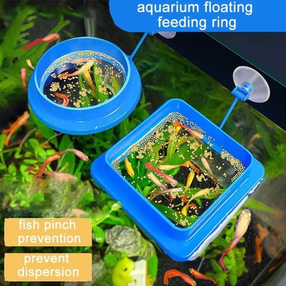2pcs Buoyancy Design Fish Tank Feeder Suction Cup Floating Food Tray  Feeding Accessory