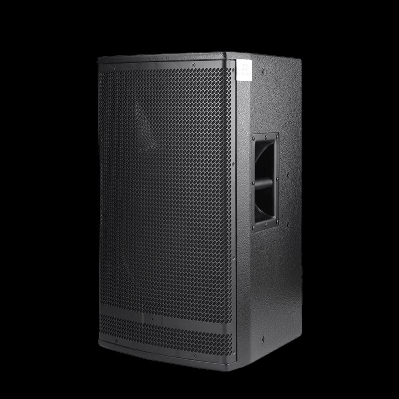 Weishu YD10 10-inch Professional Passive Speaker (CN version)