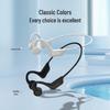 Bach John BC02 Over-ear Earphones
