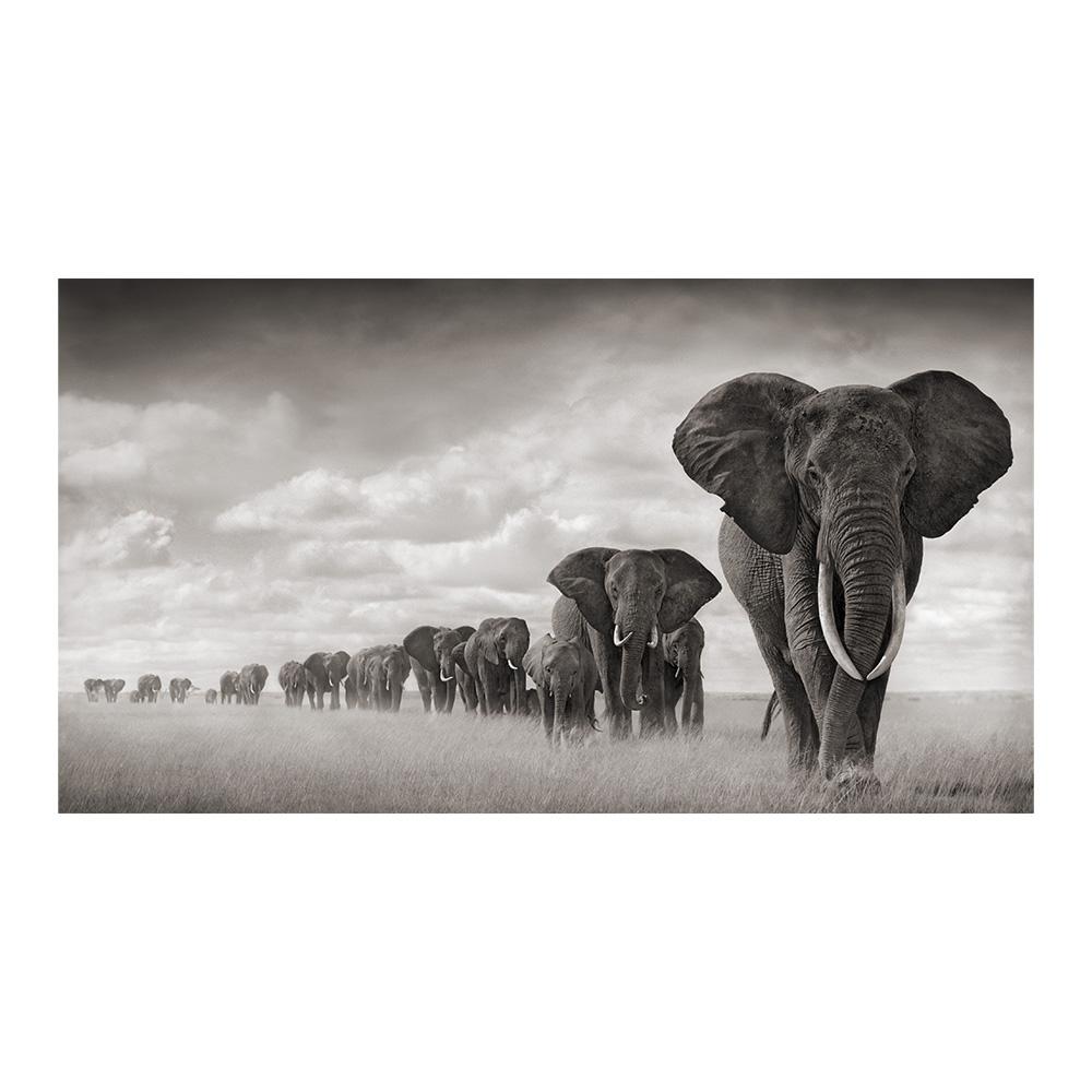 Walking Elephant Home Decoration Canvas Painting Modern Light Luxury Living Room Wall Art Posters High End Picture Print Artwork