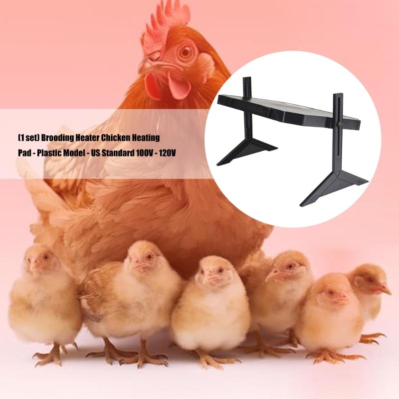 Energieffektiv kyllingvarmeplate med justerbare vinkler for hjemme- og gårdsbruk Overopphetingsbeskyttelser