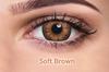 Ivalens Daily Fresh Color lens Plano Dailies 10 lens/Box - Soft Brown Color