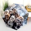 Shih Tzu pattern, automatic folding umbrella, portable and foldable design, 8 ribs, a Christmas or birthday gift.