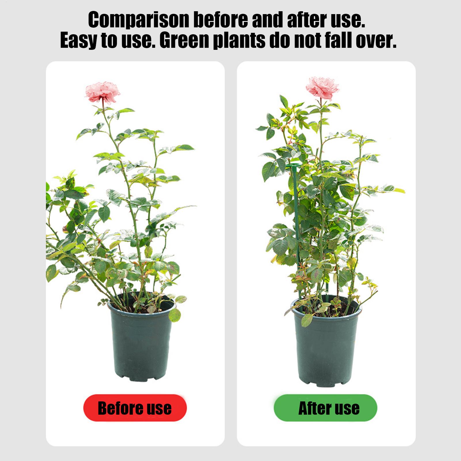 

Plant Support Ring Support Reusable Poles Flower Stakes For Indoor Plants For Flower Tomato Vegetable Peony Orchid Outdoor China Mainland