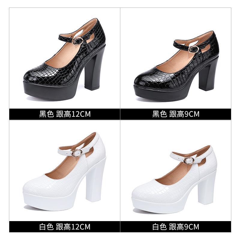 9/12cm Small Size 32-43 Shallow Patent Leather Shoes Women Mary Janes 2024 Spring Block Heels Shoes Platform Pumps Office Women