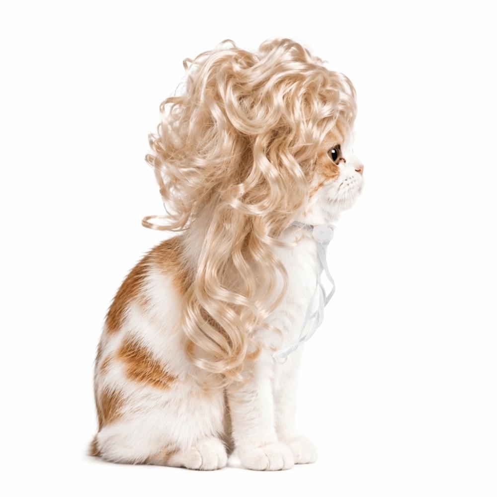 Eye-catching Pet Cosplay Wig Novelty Funny Pet Wig Spoof Wig Cat Headdress Parties