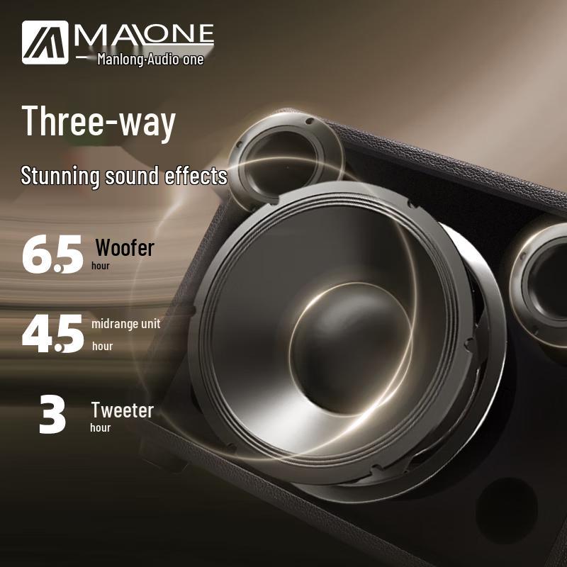 Malone GT-001 Portable Karaoke Amplifier Speaker CN plug (adapter included)