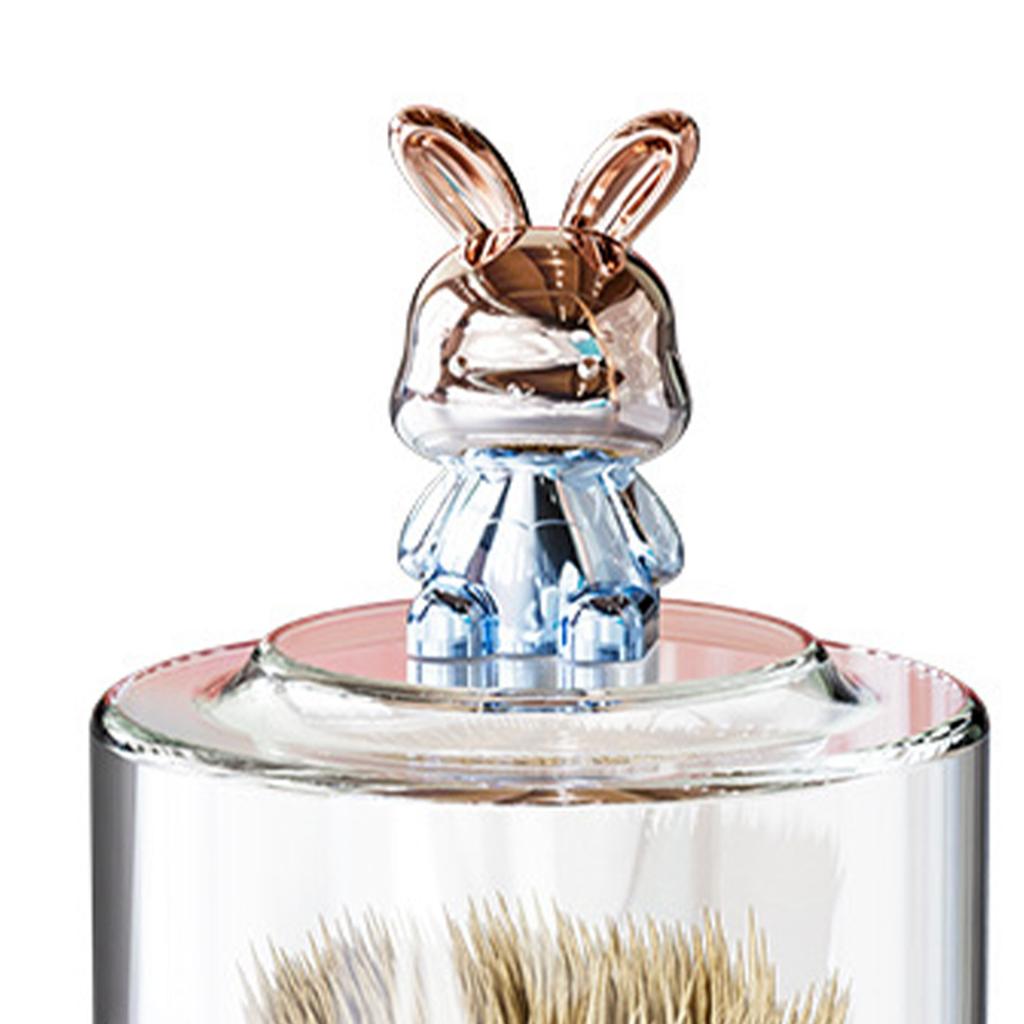 Tandenstokerhouder met Schattig Konijn Transparant Deksel Grote Capaciteit Ronde Tandenstokerdoos voor Keuken Restaurant