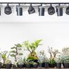 BARREL [AECHMEA MOVE] Black Small Oscillating Fan with Remote Control and Timer Function for Plant Growth