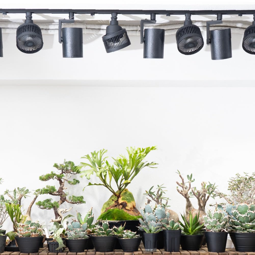 BARREL [AECHMEA MOVE] Black Small Oscillating Fan with Remote Control and Timer Function for Plant Growth