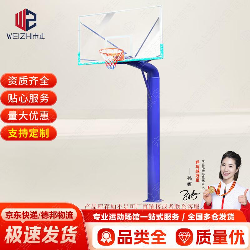 Weizhi Basketball Hoops for Adults