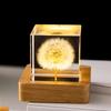 Dandelion Crystal Ball Night Light with Preserved Flower