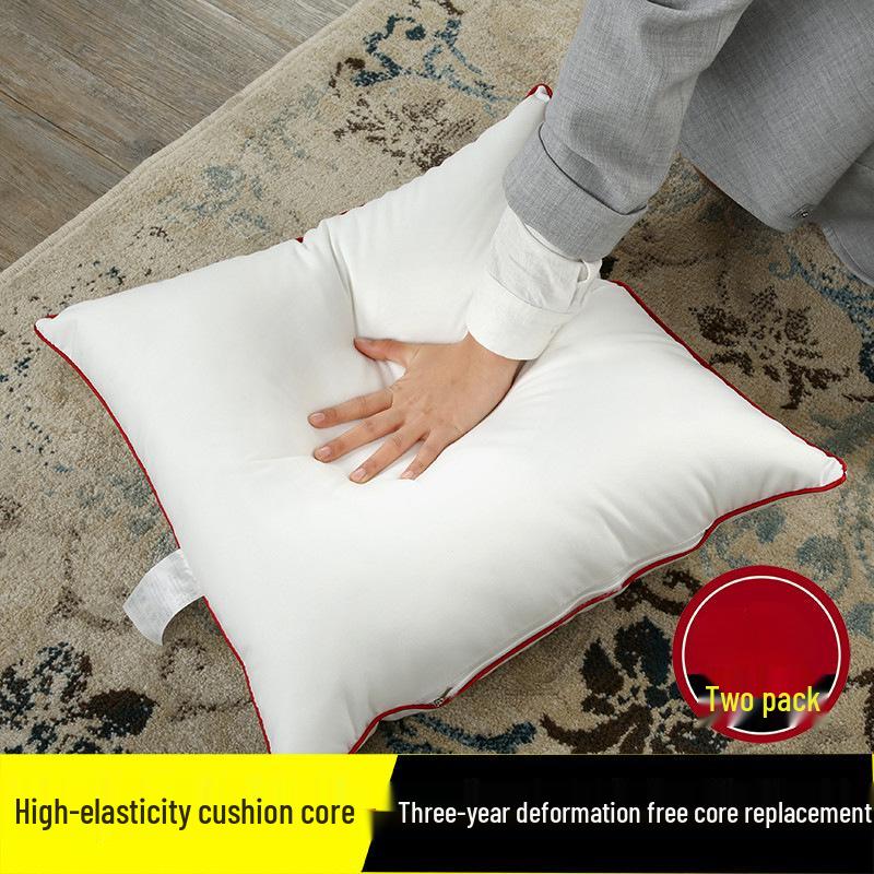 Cushion Inserts for Sofa and Lumbar Support - 45.50 Square Double Comfort Pillow Liners