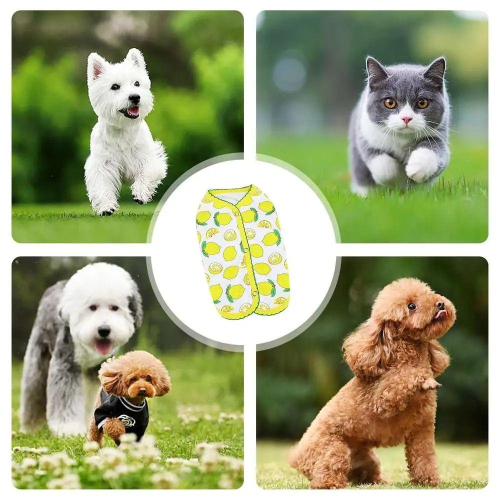 Cute Dog Clothes Thin Design Pet T-shirt Pet Clothing Pet Shirt Summer