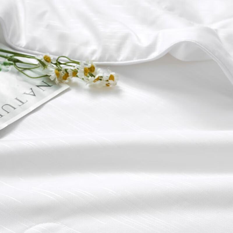 Fuanna Shu Yan Antibacterial Silk Summer Quilt