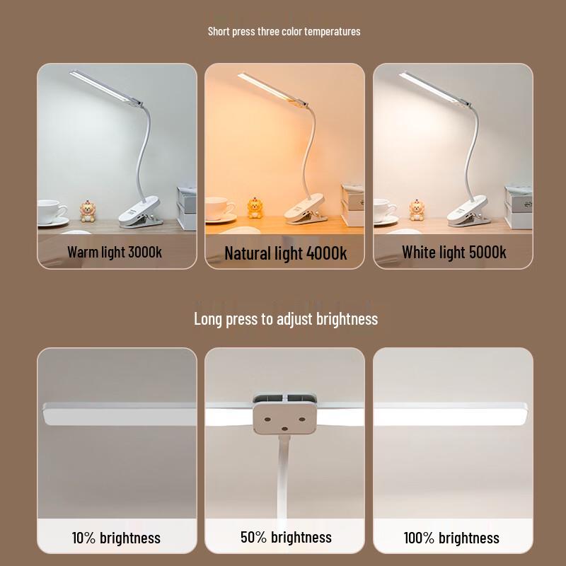 Oeny Dual-Head Clip-On Desk Lamp
