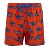 Boys Skander Shark Swim Shorts