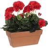Plante Artificielle - Mica Decorations - Géranium - Rouge - 29x13x40 Cm - Intérieur