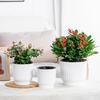 Self Watering Pots for Indoor Plants Plastic Wicking Flower Pots Modern African Violet Planter