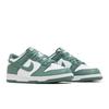 Nike Dunk Low GS 'Bicoastal' HF4798-100