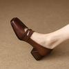French retro Mary Jane shoes women's brown autumn 2022 new mid-heeled square head light mouth single shoes
