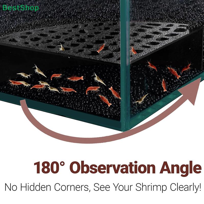Shrimp Cav Platzsparende fächerförmige Aquariumhöhlendekoration mit 180°-Weitblick-Design