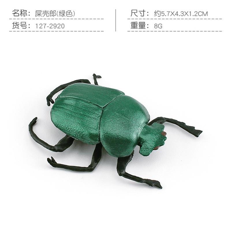 Vibrant Pvc Dung Beetle And Beetle Models Set Of 8 Realistic Insect Figurines For Home Decor
