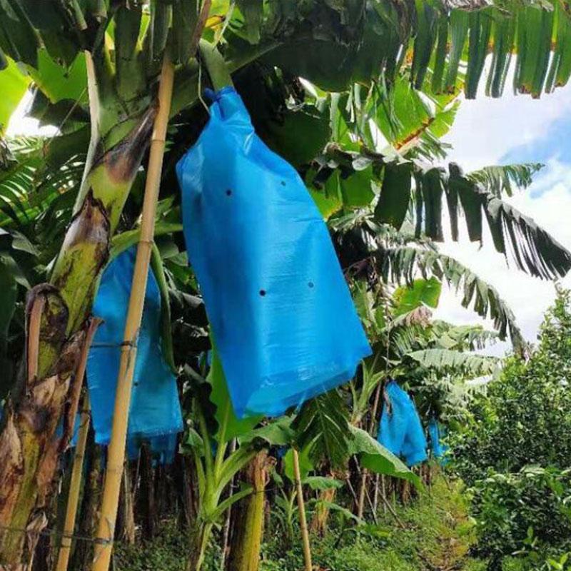 5/10/15 Stück Bananen-Schutzbeutel Frucht-Schutzbeutel Mit Loch Gegen Kälte Frost Insektenbeutel Bananenstauden-Schutzabdeckung