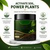 Ammendante per Terriccio per Piante 120g Formula di Arricchimento Nutrizionale per Piante da Interno ed Esterno Vitalità del Terreno e Supporto alla Crescita
