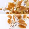 Artificial Eucalyptus Leaf With Fruit Plants Branch Photo Props Simulated Flower Arrangement DIY Wedding Flower Home Decor