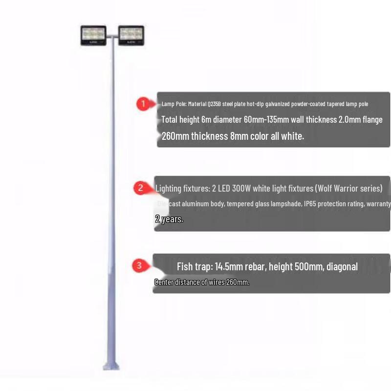 Jun Dingying Outdoor Dual-Head LED High Pole Light