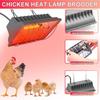 Chicken Coop Heat Lamp 250W Brooder Heater Lamp for Chicks Reptiles,2 Temp Mode Heating Lamp Adjustable Hanging Height Warmer Outdoor for Livestock
