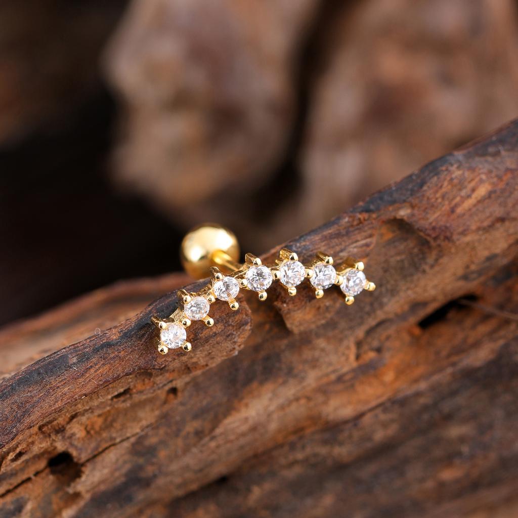10Pcs/Set 20G Gold Cartilage Earring CZ Tragus Earring Bear Spider Design Helix Stud Rings Conch Ear 316L Steel Piercing Jewelry