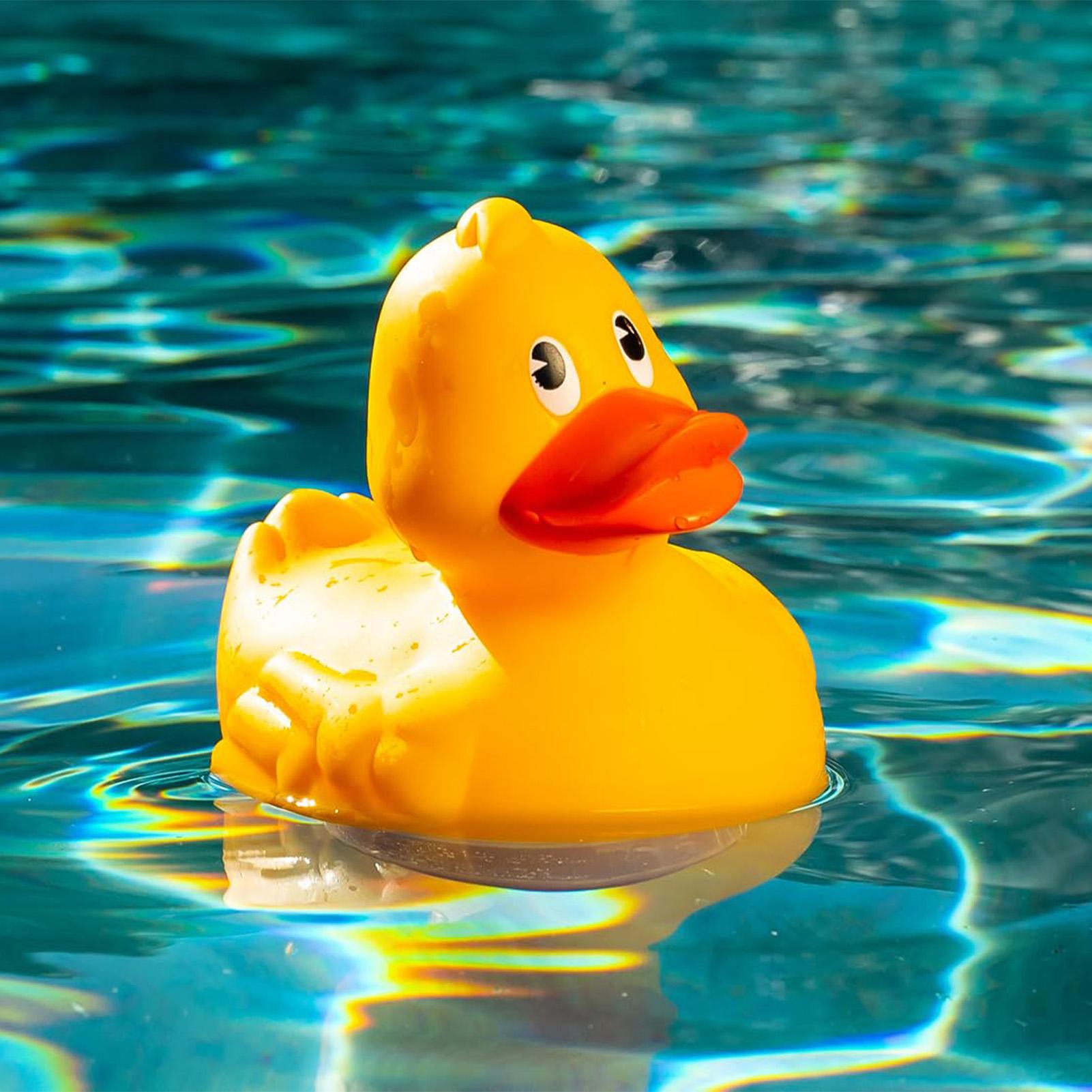 Duck Chlorinator Large Capacity Floating Chlorine Dispenser Floating Cemical Chlorine Dispenser Cleaning Pool China Mainland