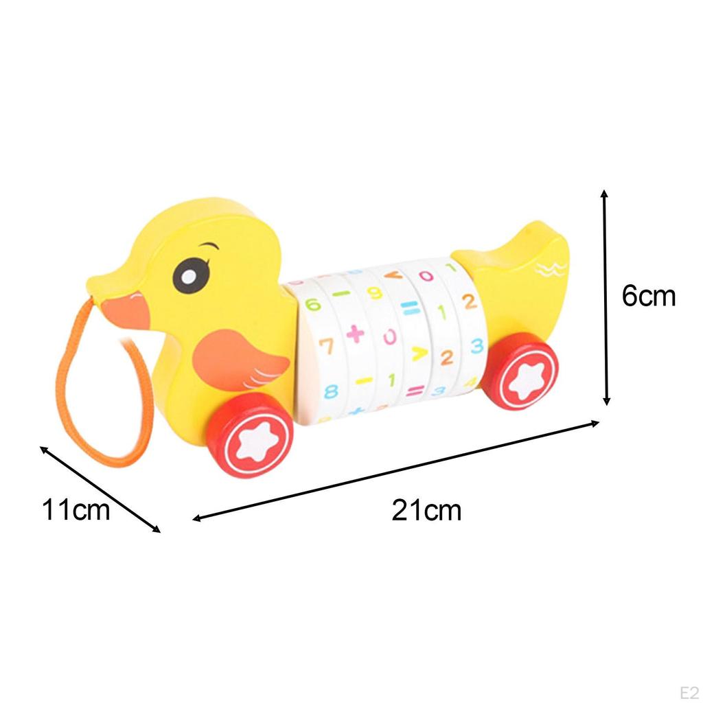 Animal Push and Pull Along Toys, Arithmetic Learning Toy, Toy for Kids Birthday Gifts
