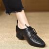2024 Plus Size 43 Retro Black Office Lady Shoes Women Spring Summer Block Heels  Vintage Pointy Toe Lace-up Pumps