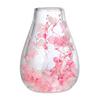 Mini Glass Decorative Bottle with Dried Flowers Compact Transparent Floral Ornament for Desk Bedside Window Sill Double Wall Hydroponic Vase Home