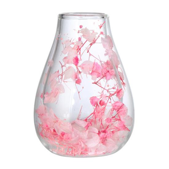 Mini Glass Decorative Bottle with Dried Flowers Compact Transparent Floral Ornament for Desk Bedside Window Sill Double Wall Hydroponic Vase Home