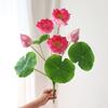 Artificial Lotus Pond Decor: Single Display for Living Room, Photo Props, or Landscaping