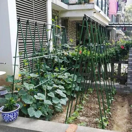 5Pcs Clip Adjustable Corrosion Resistant Plastic Multipurpose Plant Fixing Clip for Garden AVE