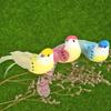 12 buc/set Modele de păsări din spumă artificială cu pene Ornamente pentru acasă în miniatură de grădină