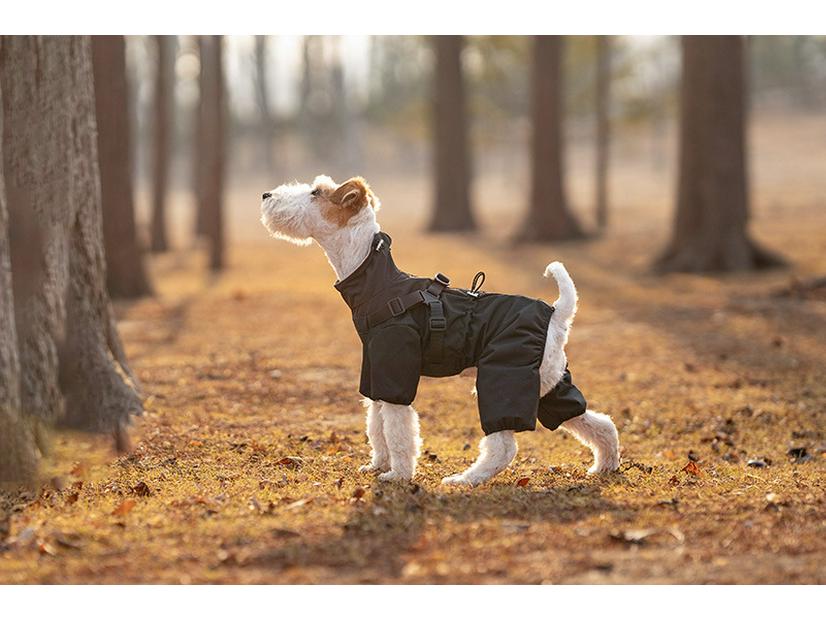 Medium & Small Dog Raincoat with Leash Hole - Waterproof & Reflective Puppy Jacket