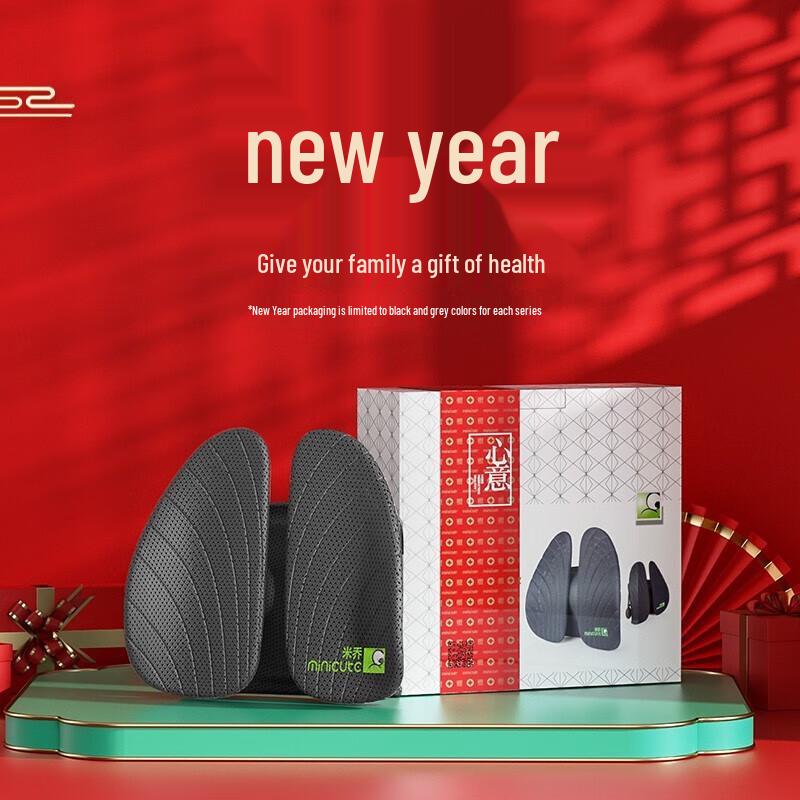 Miqiao Lumbar Support Cushion