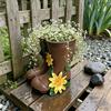 Small Rain Boots Planter Pot Rustic Cute Boot Flower Pot with Drainage Hole for Succulents Herb Flowers Decorative Table Centerpiece for Mom