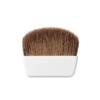Revlon Powder N Skin Light Pore Sparkle